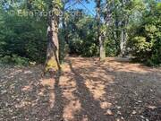 Terrain à SAINT-CEZAIRE-SUR-SIAGNE