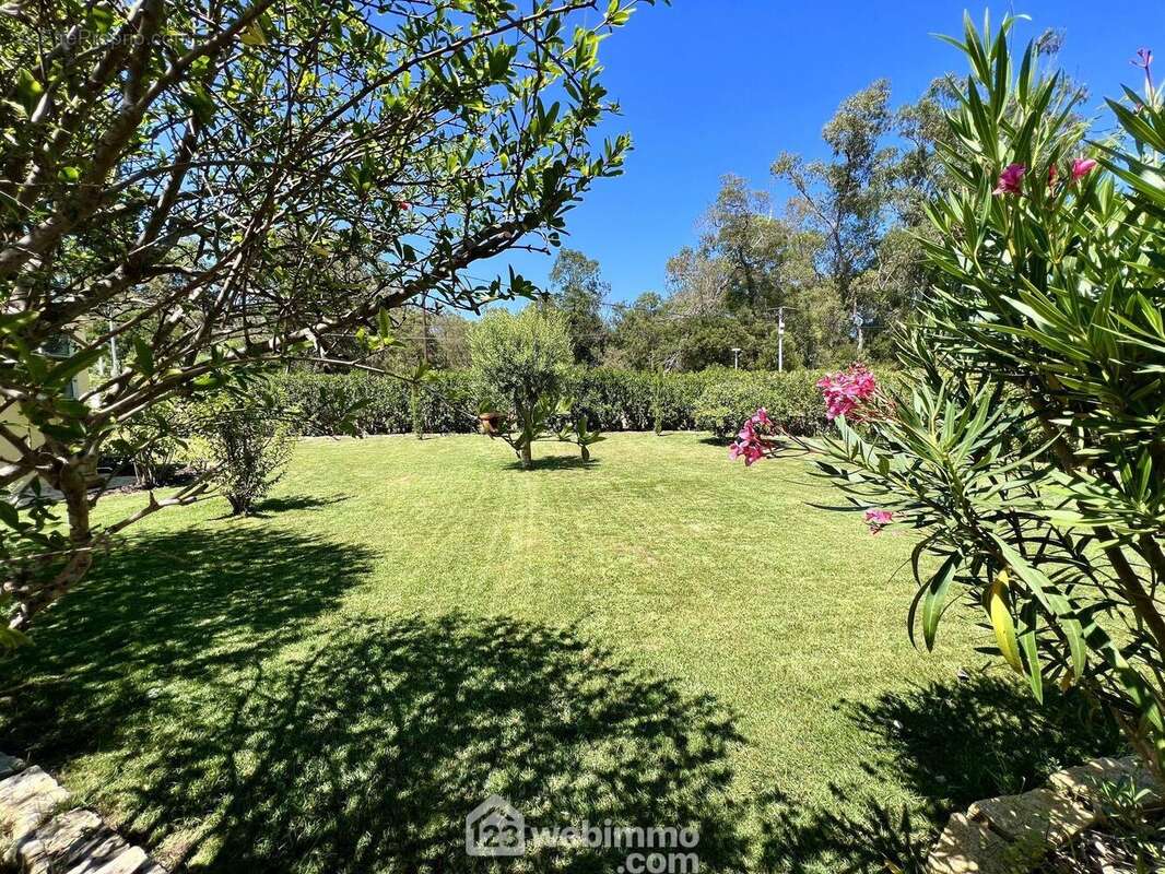 Un terrain plat arboré et entretenu de 1400m2 - Maison à LUCCIANA