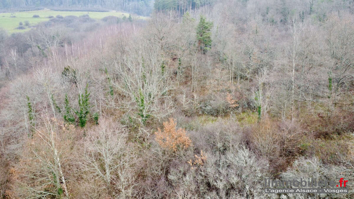 Terrain à SAINT-DIE-DES-VOSGES