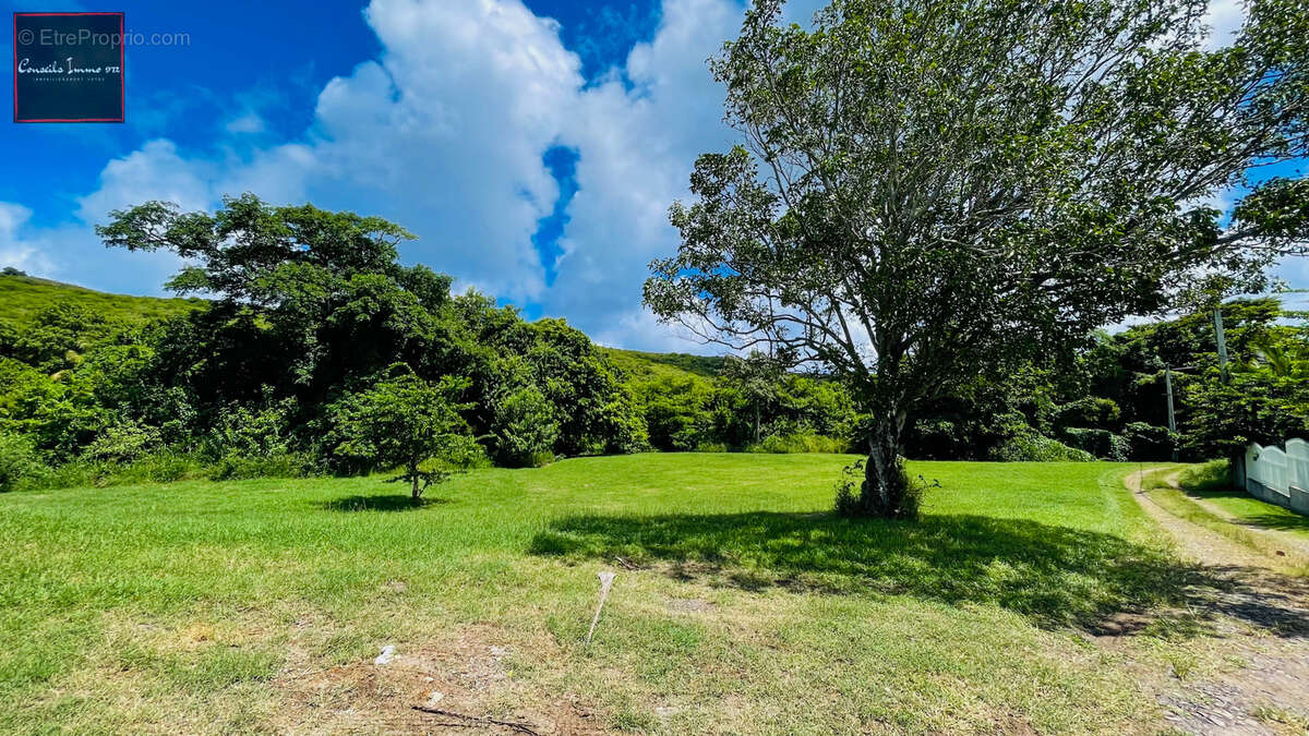 Terrain de 1 090 m2 à vendre - Sainte-Anne - photo 5