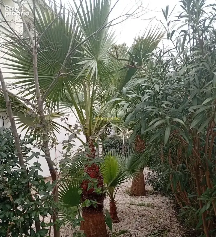 Maison à AGDE