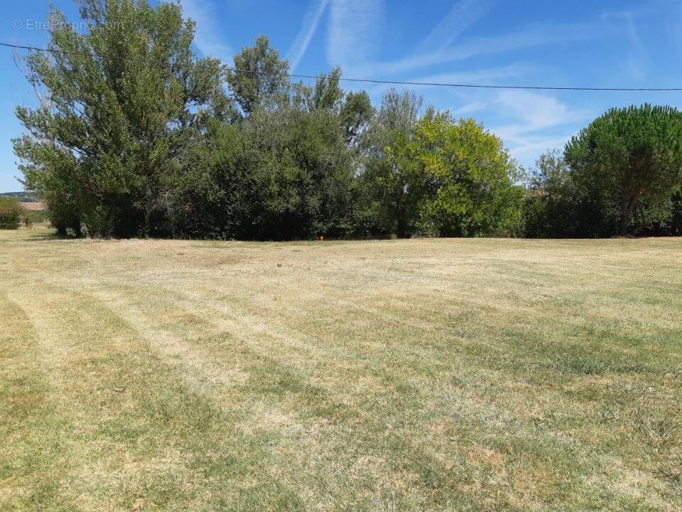 Terrain à LAVAUR