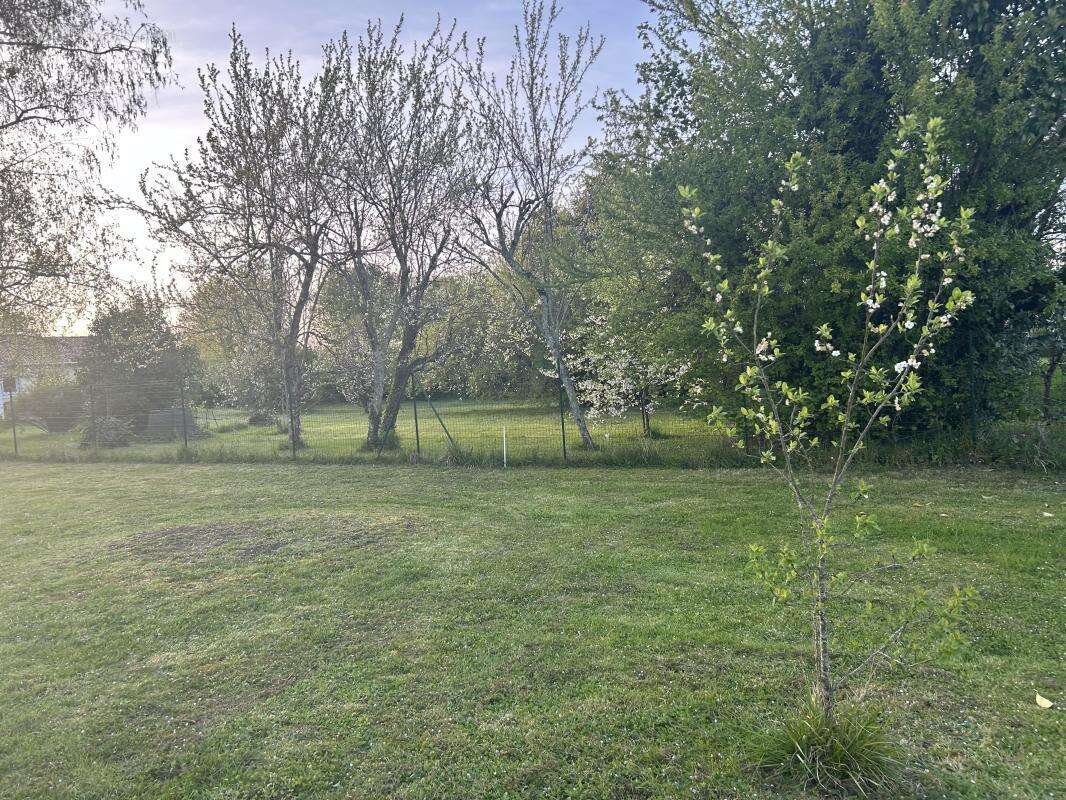Terrain à MARTILLAC