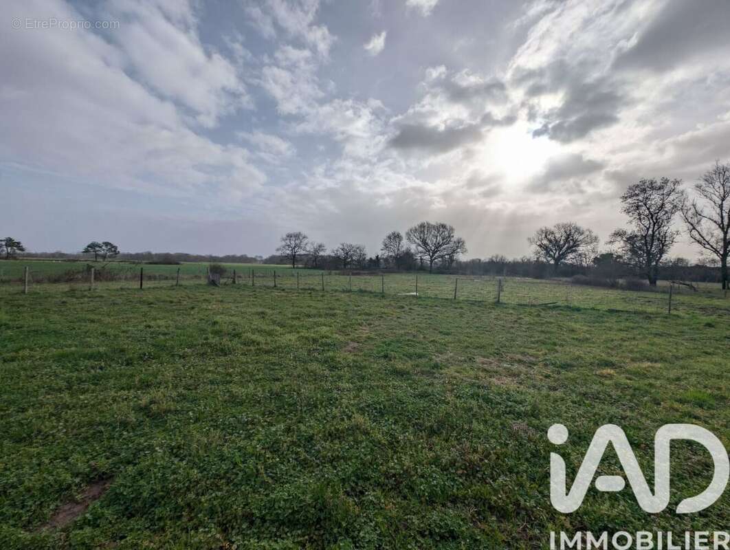 Photo 8 - Maison à COUTRAS