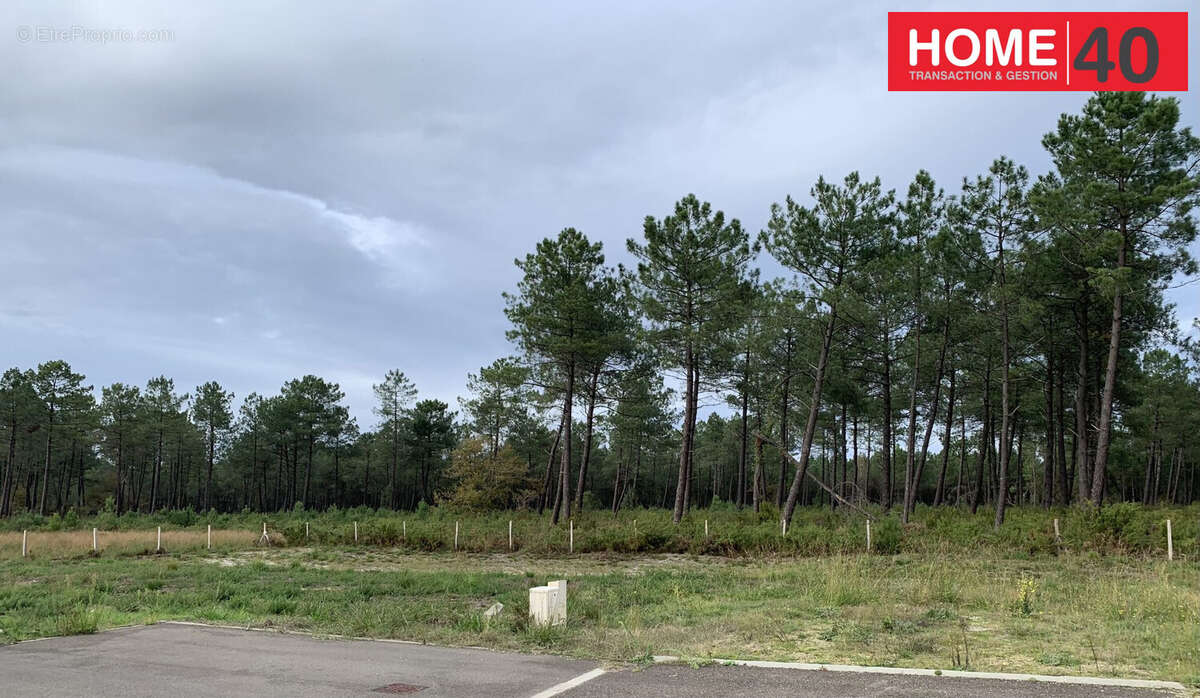 Terrain à PARENTIS-EN-BORN