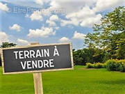 Terrain à LA FERTE-BERNARD