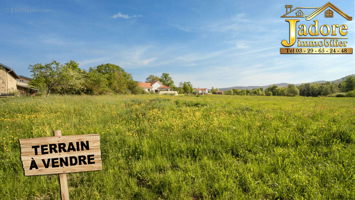 Terrain à LES POULIERES
