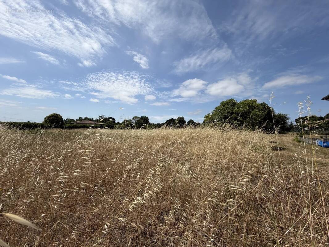 Terrain à SAINT-CIERS-SUR-GIRONDE