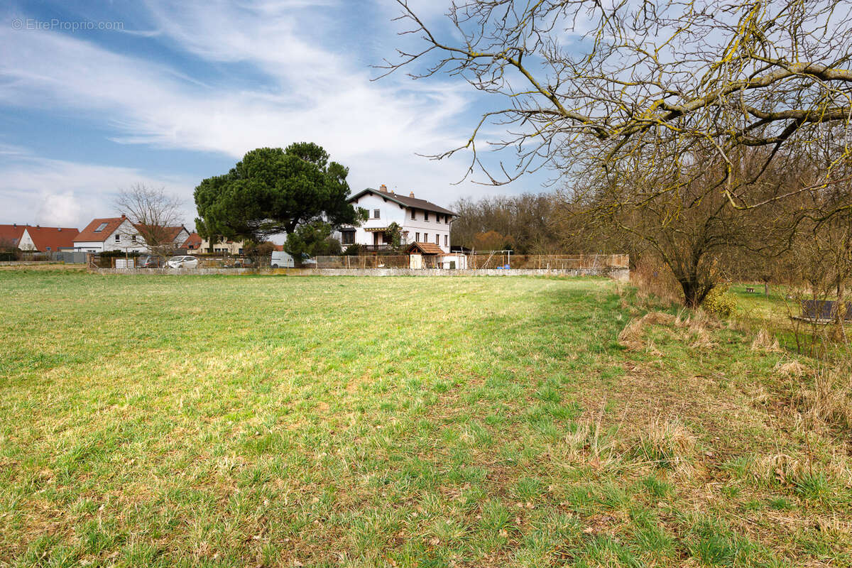 Terrain à NIEDERHERGHEIM