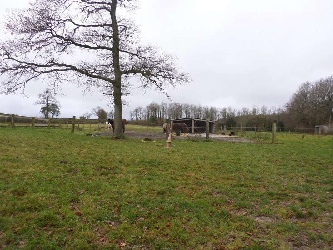 Maison à SAINT-MARTIN-CHOQUEL