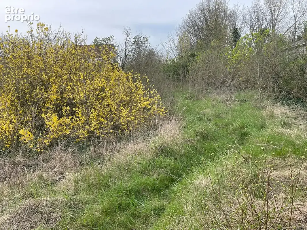 Terrain  constructible de 726 M² avec  environ 11 m de Façade à Epiais-Rhus 15 min de Pontoise - photo 3