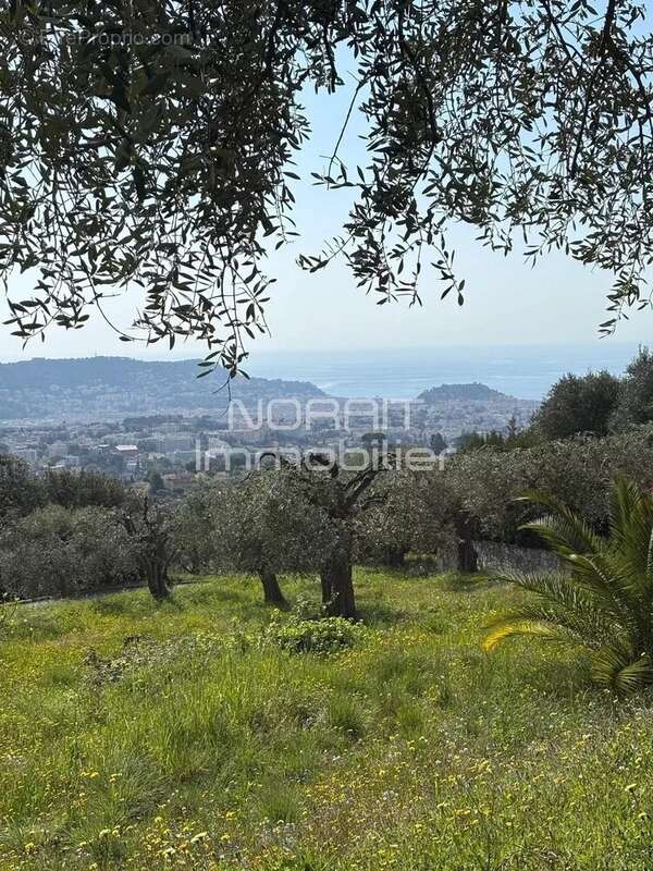 Terrain à NICE