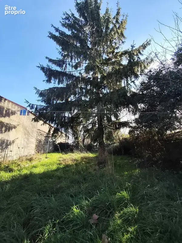 Maison 5 pièces 123 m² à vendre à Saint-Laurent-De-Ceris (16450) - photo 2