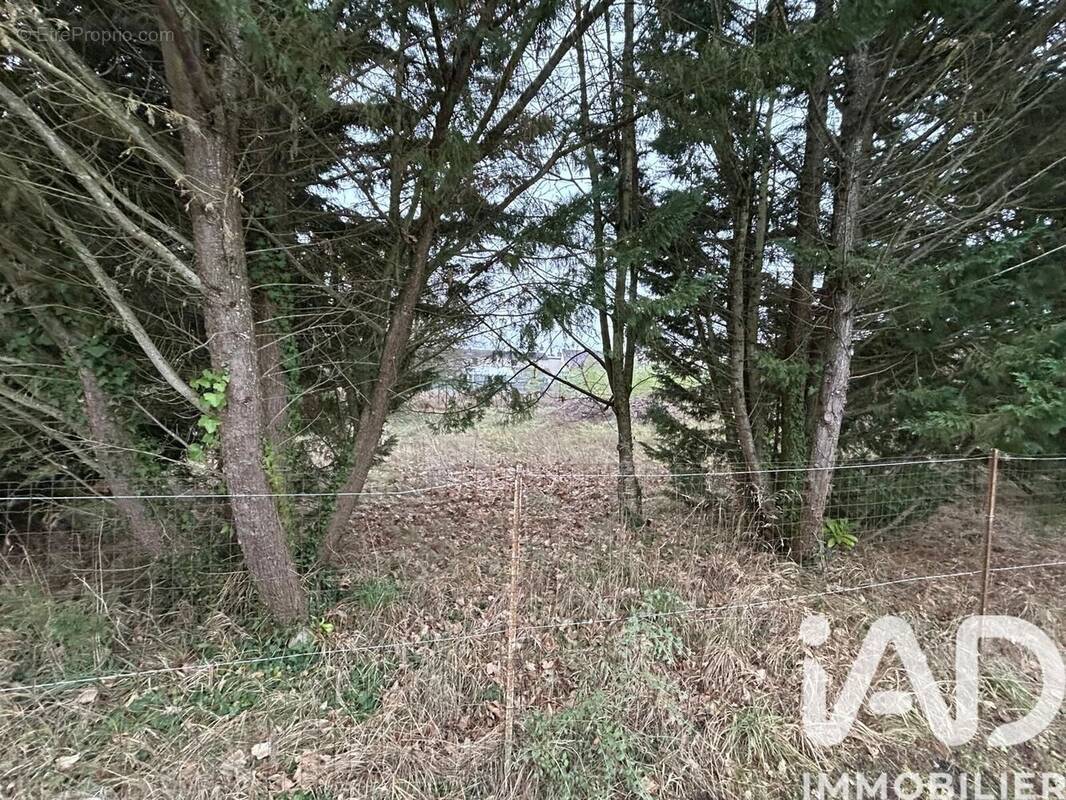 Photo 1 - Terrain à ROMORANTIN-LANTHENAY