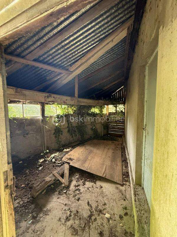 Opportunité rare à 10 minutes de La Ferté-Macé – Bâtiment à aménager + terrain arboré  - photo 2