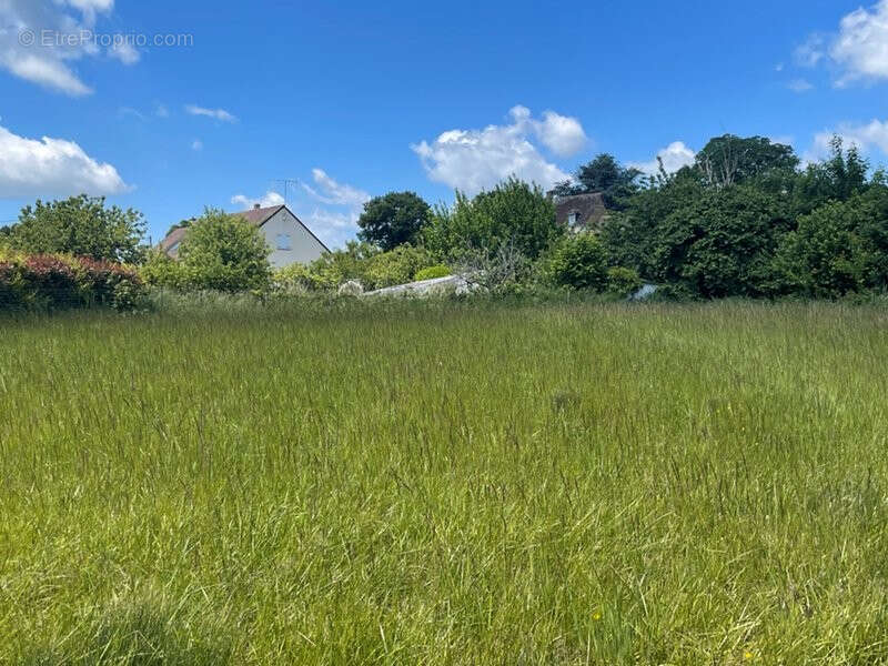 Terrain à AUTHON-DU-PERCHE