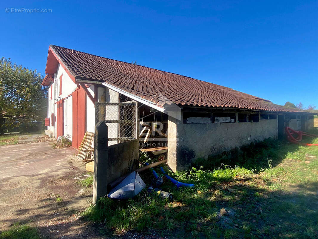 Maison à SAINTE-MARIE-DE-GOSSE
