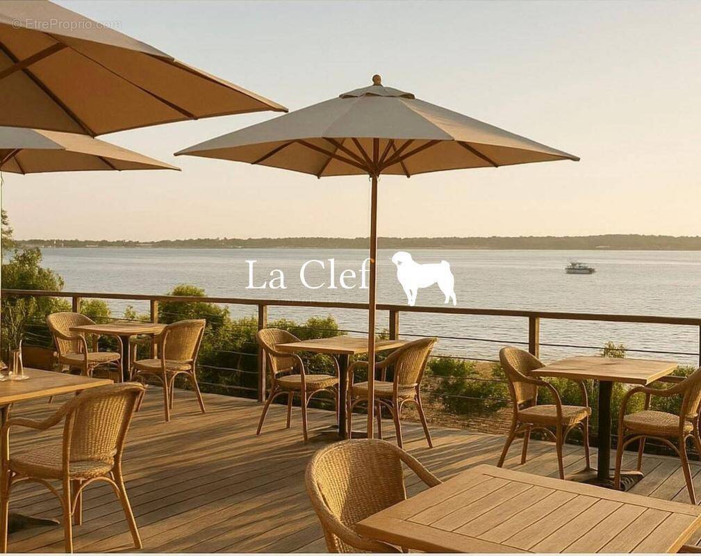 Commerce à GUJAN-MESTRAS