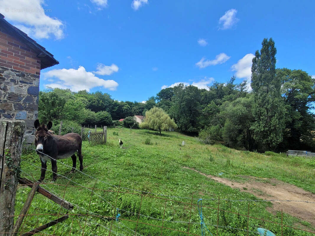 Photo 2 - Maison à SAINT-HILAIRE-BONNEVAL