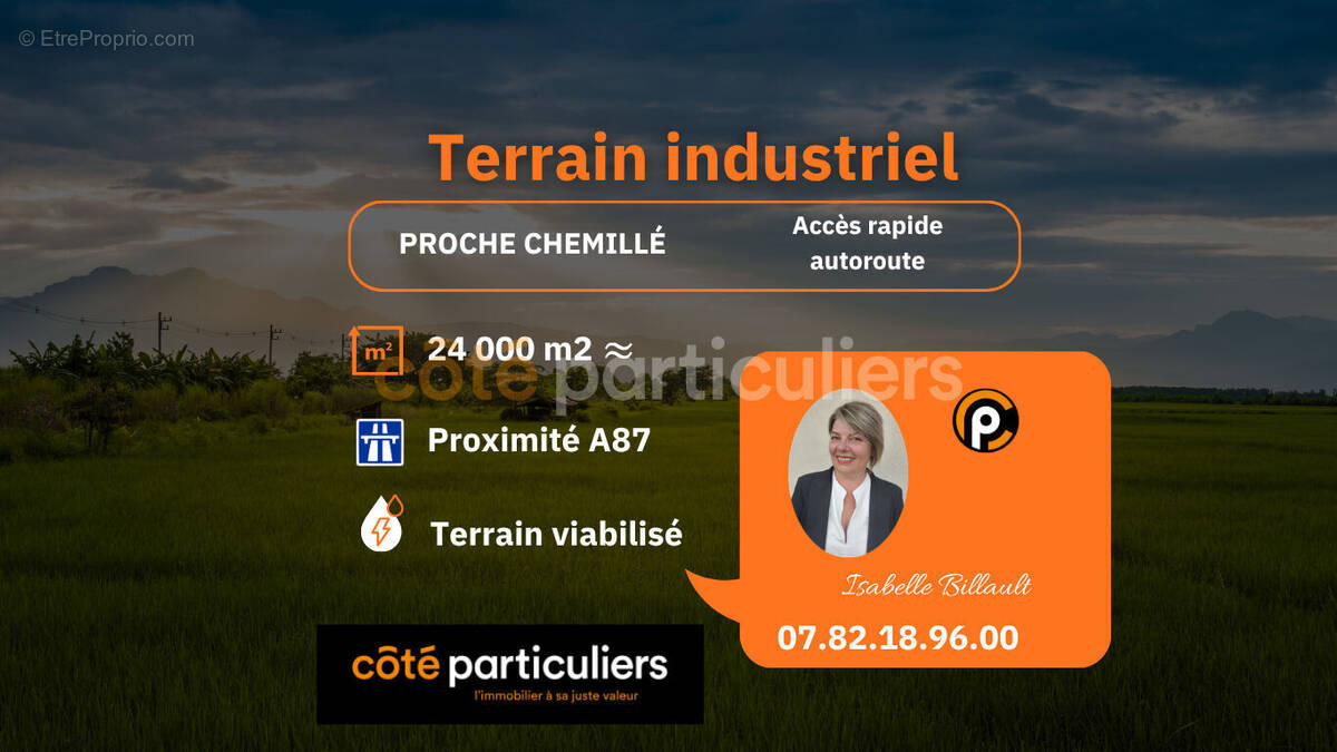 Terrain à CHEMILLE