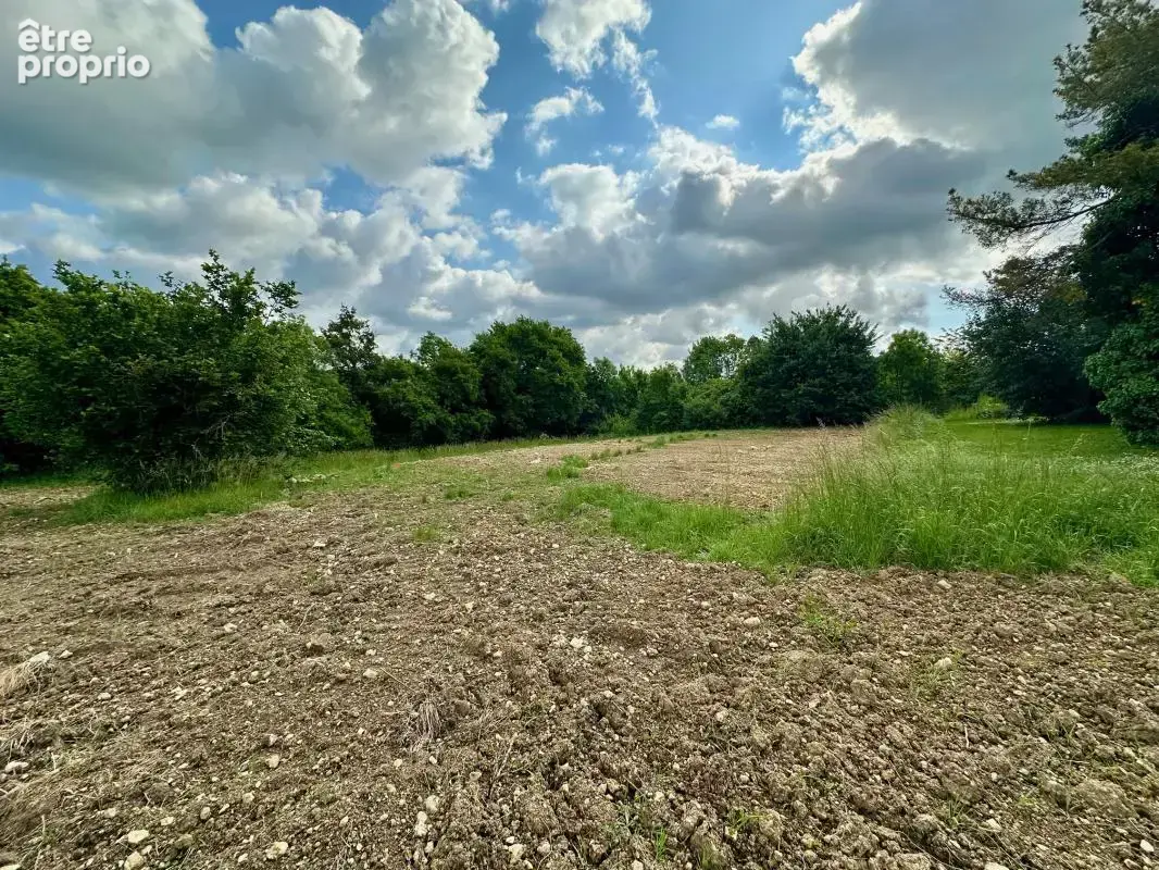 Photo Terrain à Angouleme au prix de 60 000€