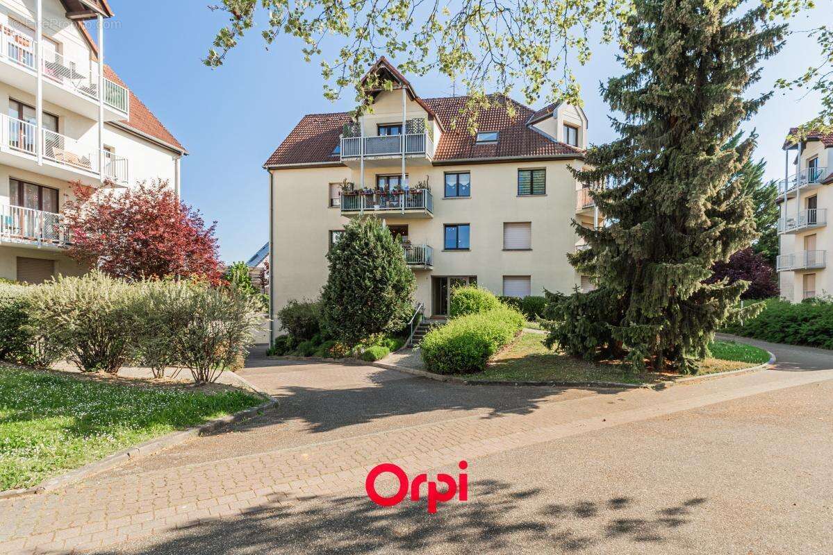 Appartement à NIEDERHAUSBERGEN
