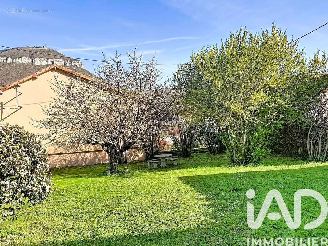 Photo 8 - Maison à MILLAU