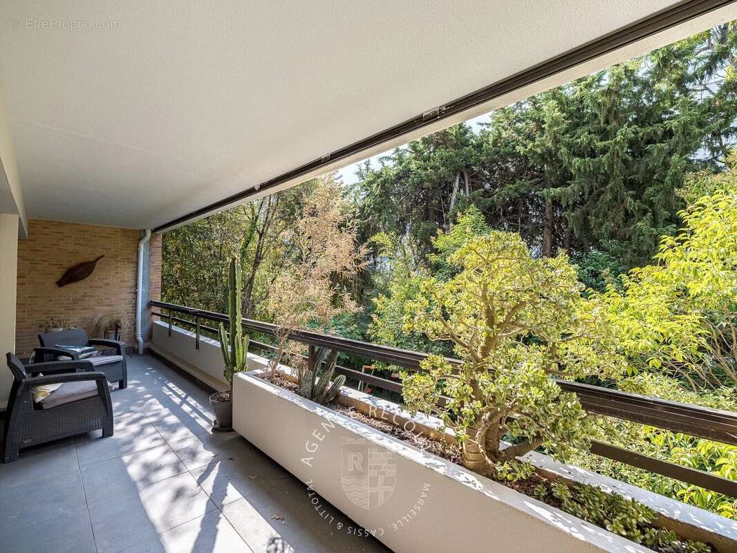 Prado borely 8eme - photo 15