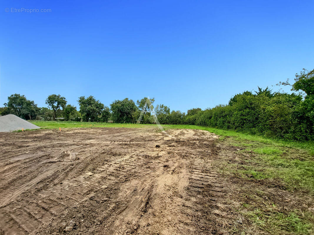Terrain à NOTRE-DAME-DE-MONTS