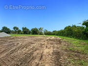 Terrain à NOTRE-DAME-DE-MONTS