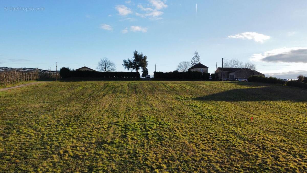 Terrain à BRAX