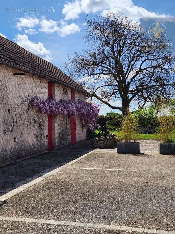 Maison à VILLORCEAU