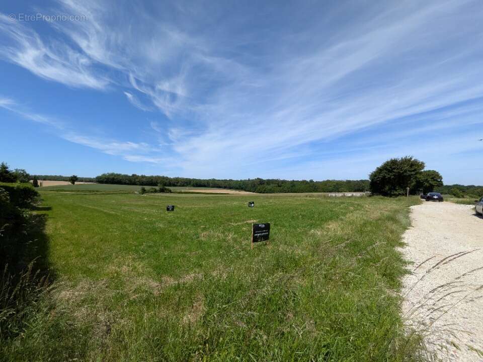 Terrain à PIZAY