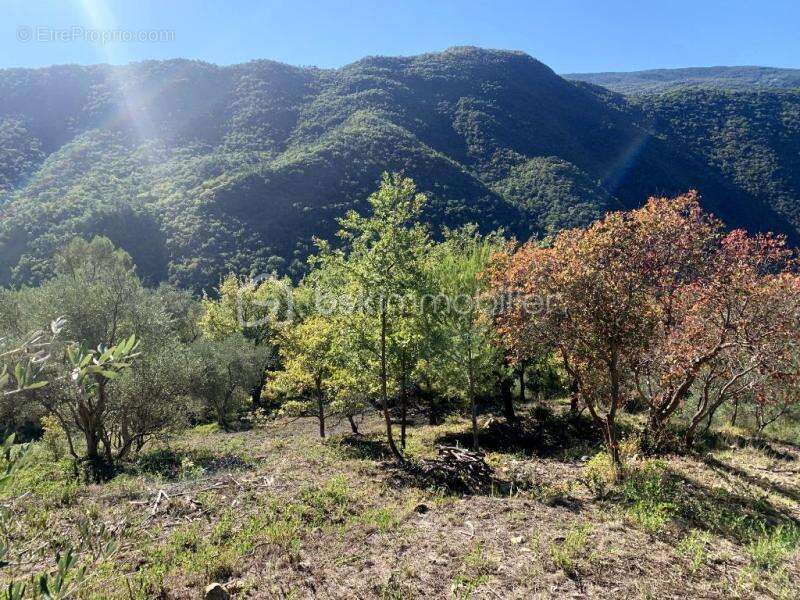 Terrain constructible avec permis maison plain pied 155 m² + piscine –garage -  rooftop  – Pierrefeu - photo 4