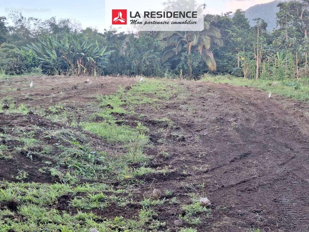 Terrain à LE MORNE-ROUGE