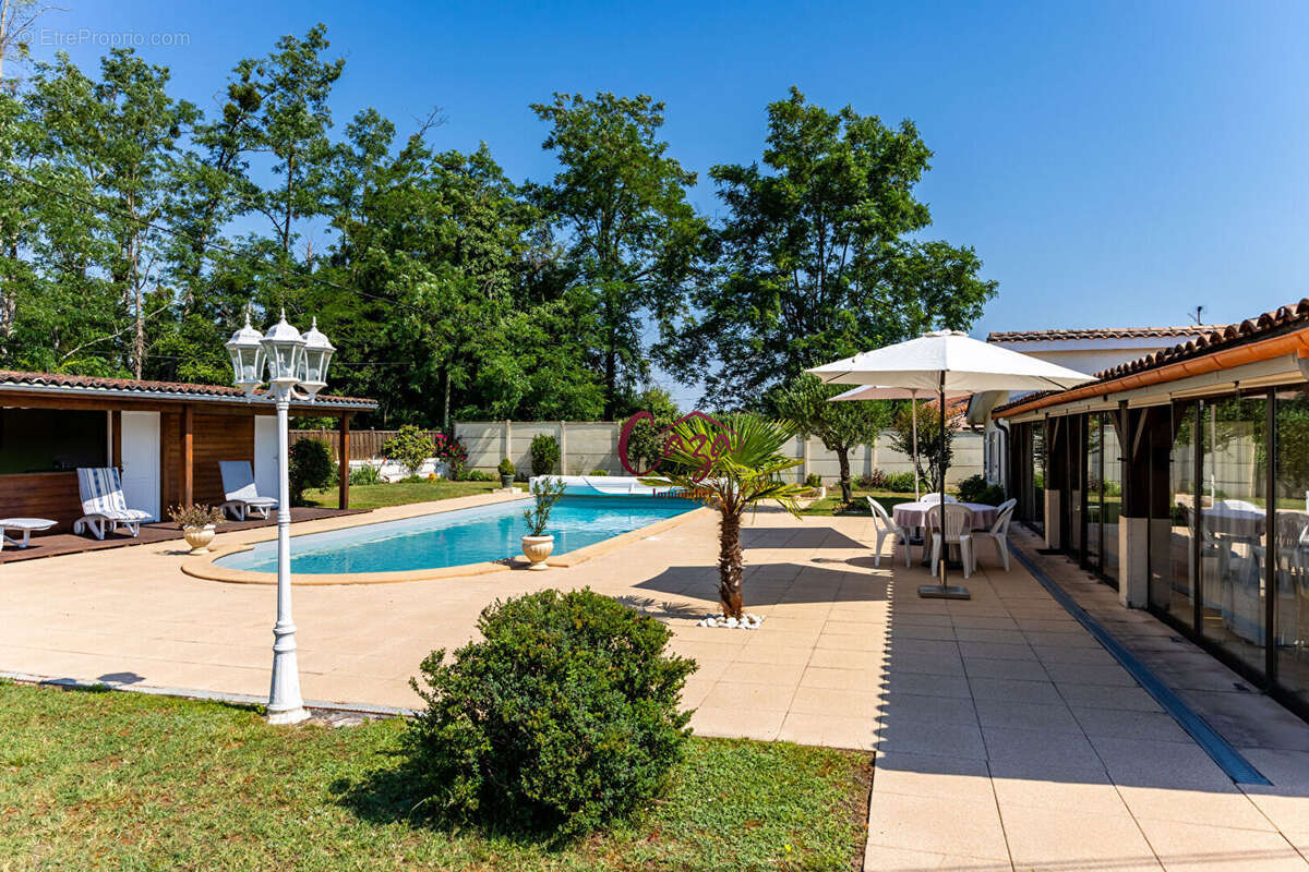 Maison familiale avec piscine , grand garage et studio indépendant MONTUSSAN - photo 2