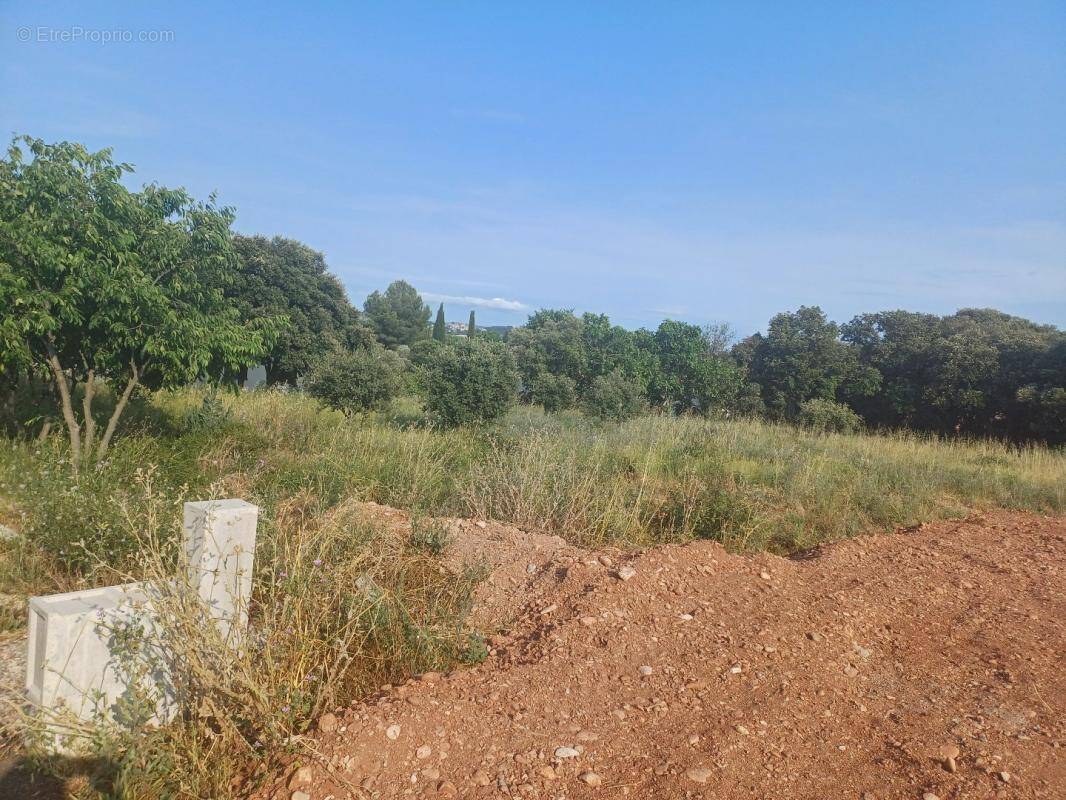 Terrain à CANET