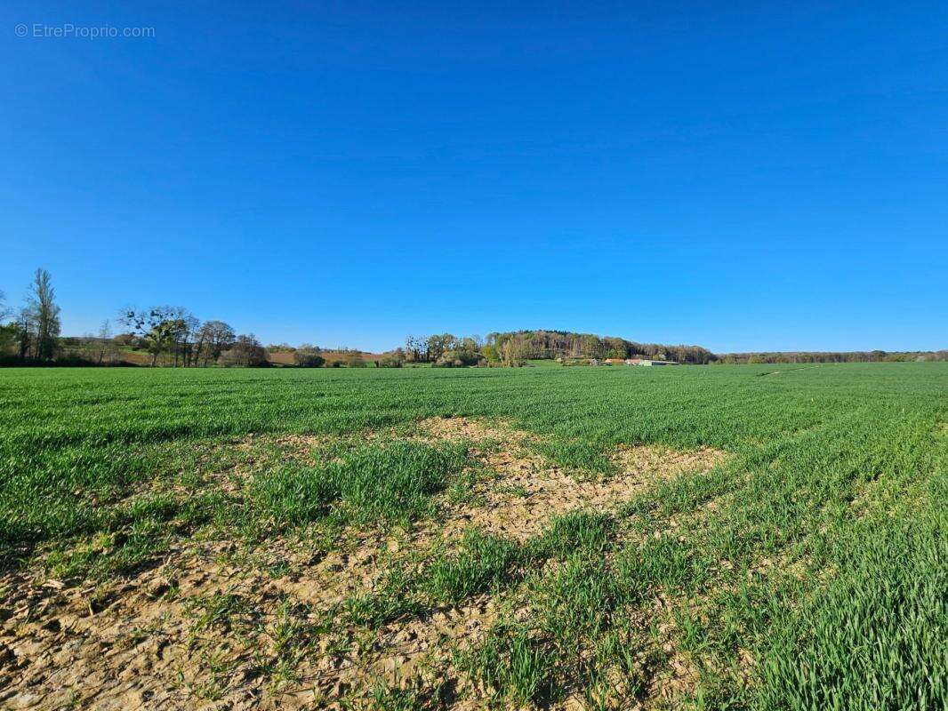 Maison à SAINT-JEAN-D'ASSE