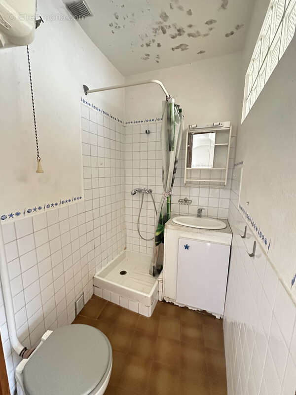 Maison 66 m2 av garage 23 m2 + t2 + terrasse au calme - idéal artisan - photo 10