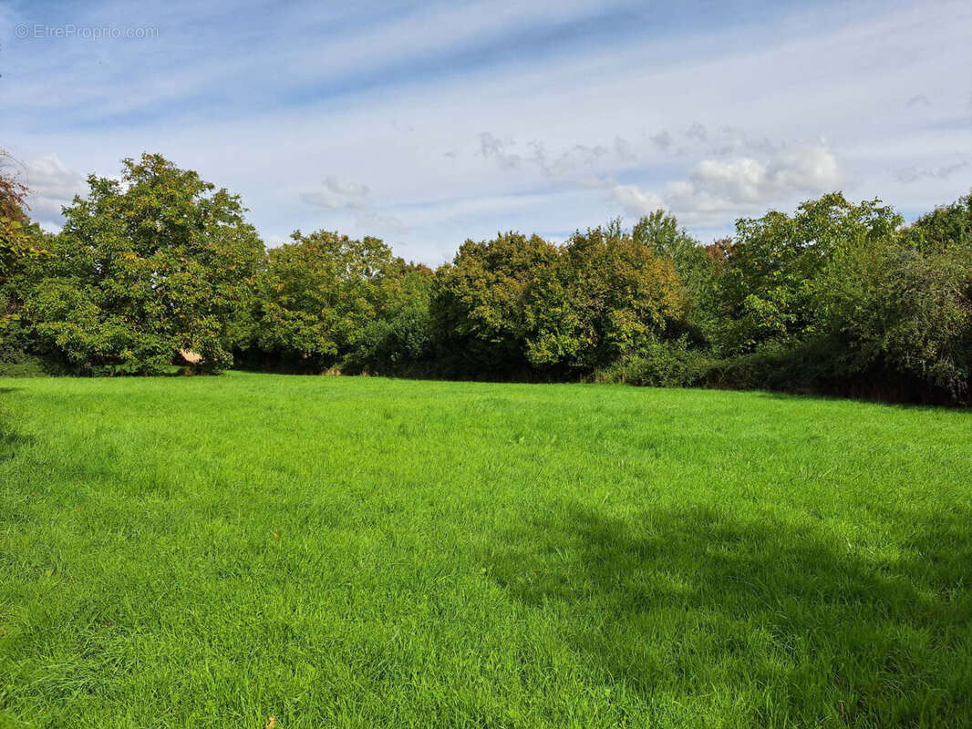 Maison à BESSE-SUR-BRAYE