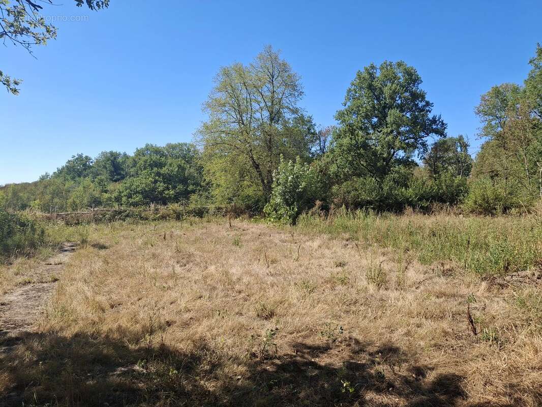 Maison familiale avec de nombreuses dépendances et du terrain - photo 18