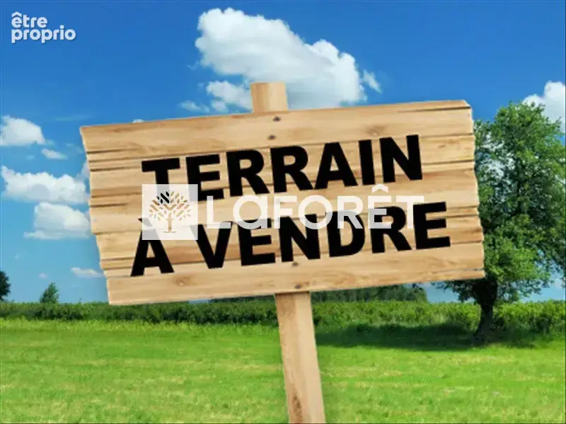 Terrain Milly La Foret 530 m2 - photo 2