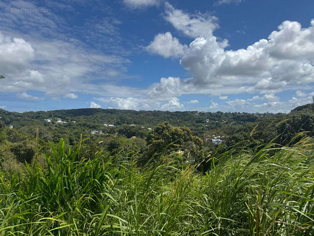 Terrain à FORT-DE-FRANCE