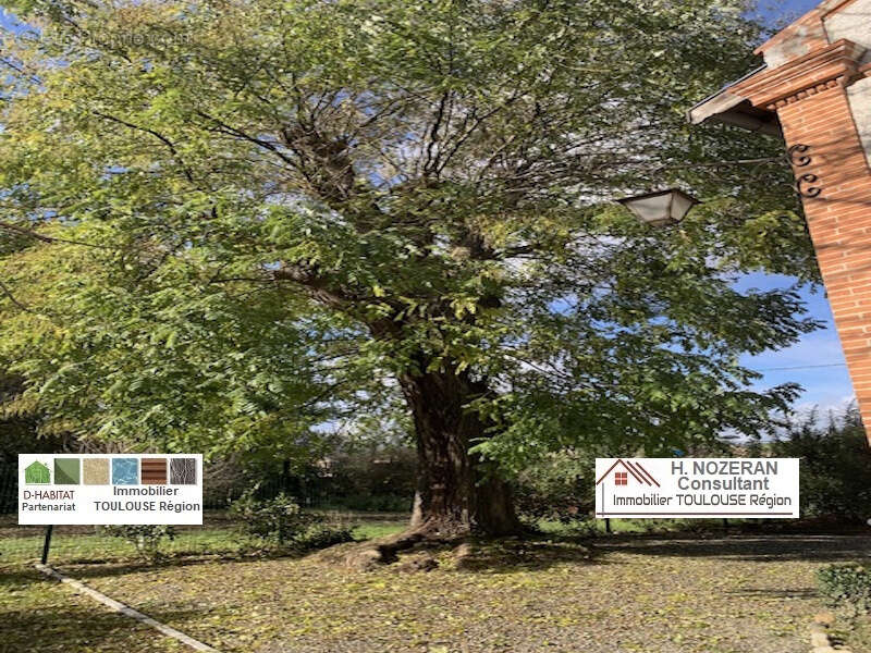 Maison à CASTELGINEST