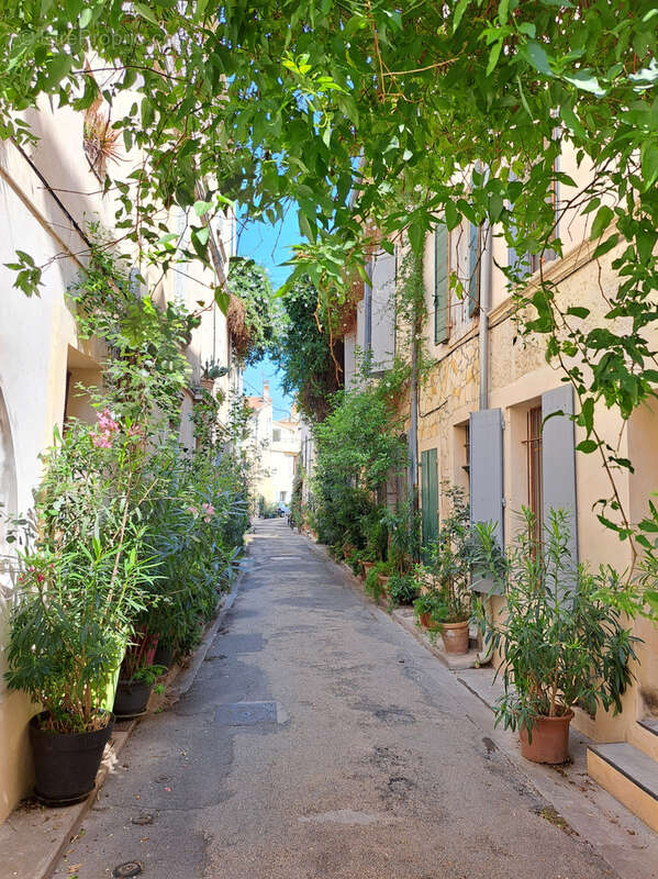Hotel Particulier Arles centre-ville - photo 18