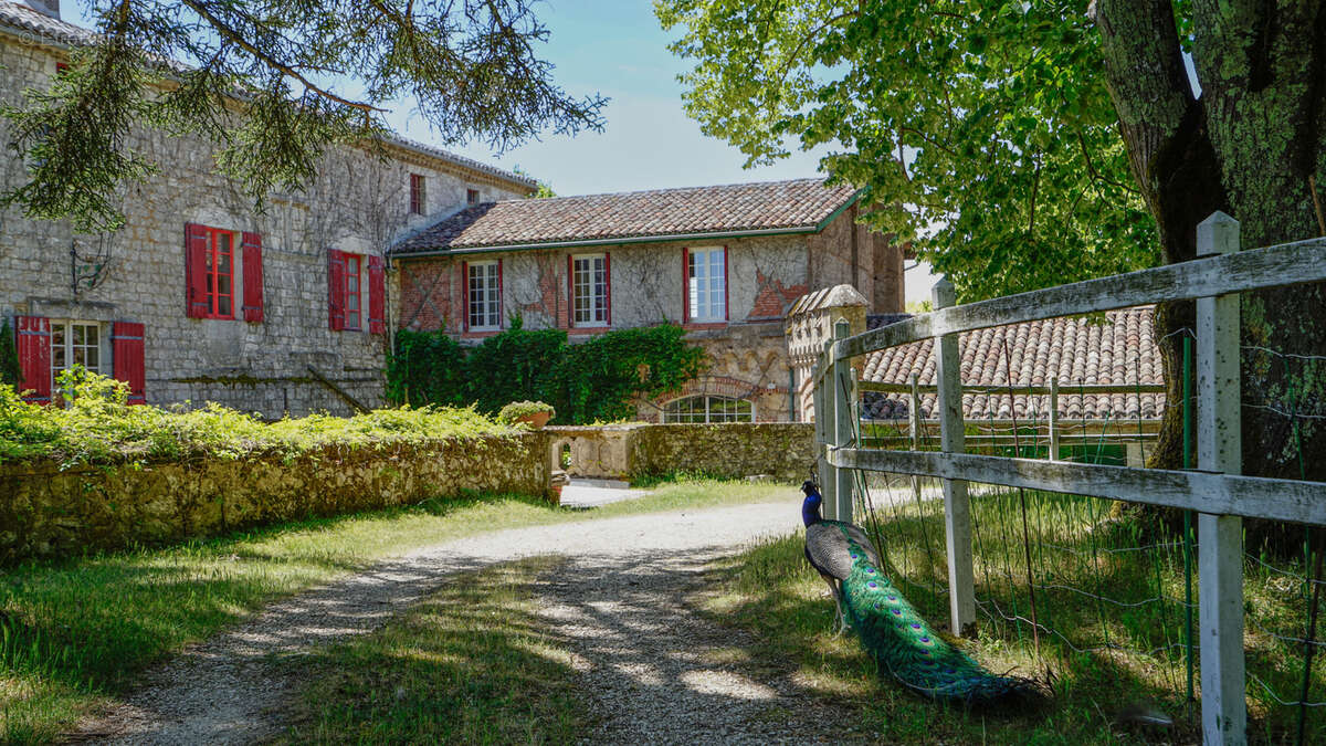 Maison à TOURNON-D'AGENAIS
