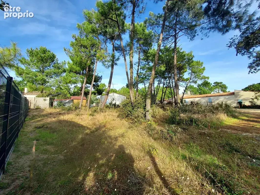 Proche plage -Terrain 452 m2 avec PC - photo 3