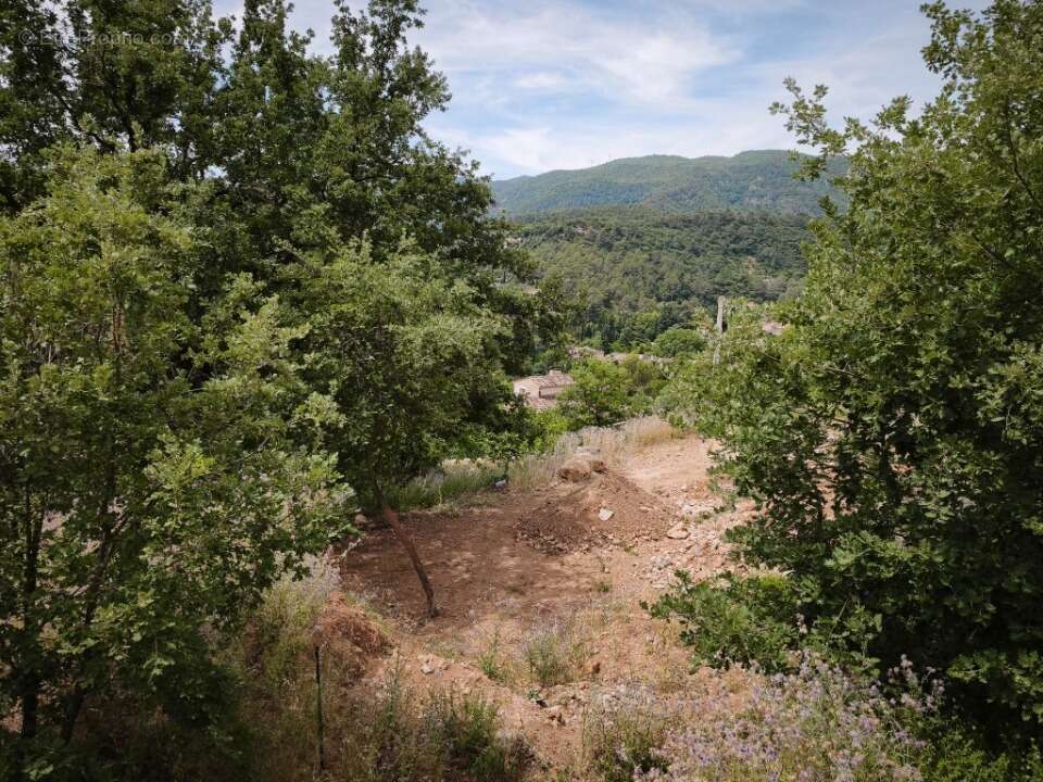 Terrain à BELGENTIER