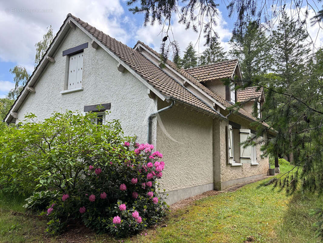 Maison à NOUAN-LE-FUZELIER