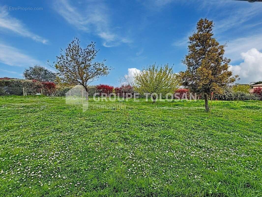 Maison à SAINTE-FOY-D'AIGREFEUILLE